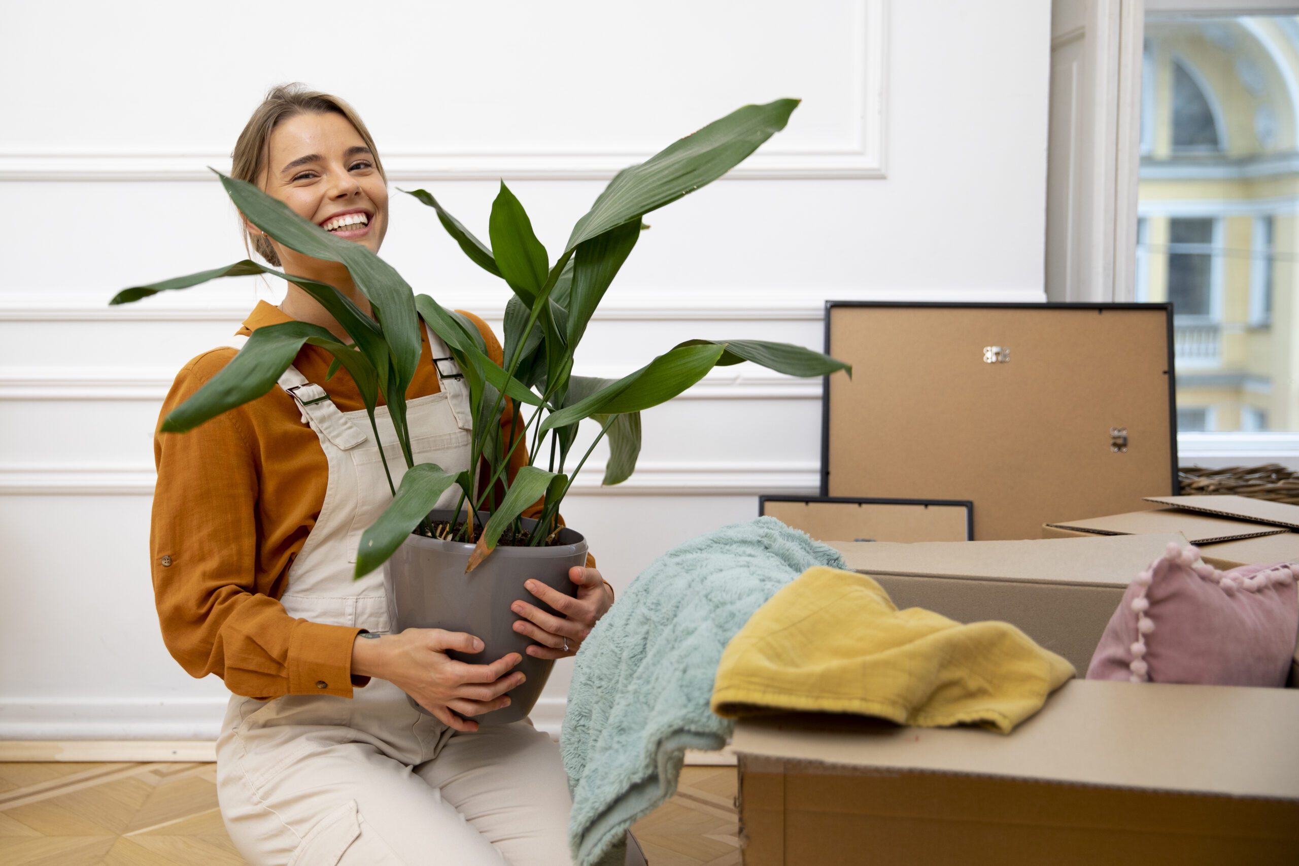 mudança para casa nova com suas plantas em segurança