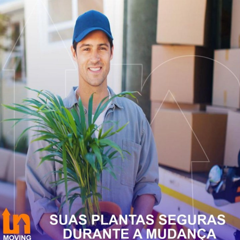 suas plantas seguras durante a mudança